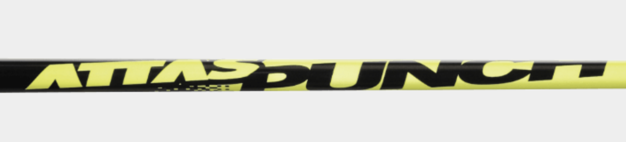 アッタス パンチ 合う人に最適な特性を徹底解説